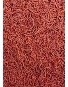 Ocean Nutricion Discus Pellets 125Gr - 2102893 2