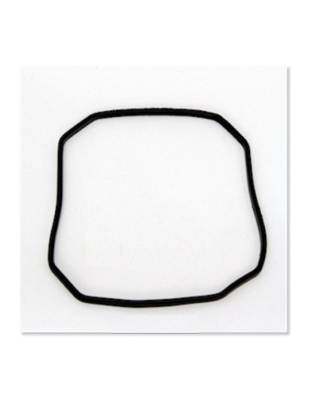 JBL CP e700/e900 Pump head rubber gasket - 2103292