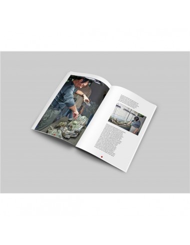 Livro Oliver Knott - "Training Day in Japan - My Journey" - 2103397