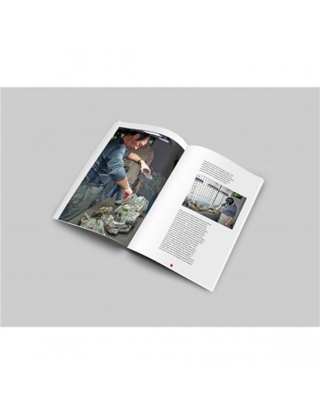 Livro Oliver Knott - "Training Day in Japan - My Journey" - 2103397