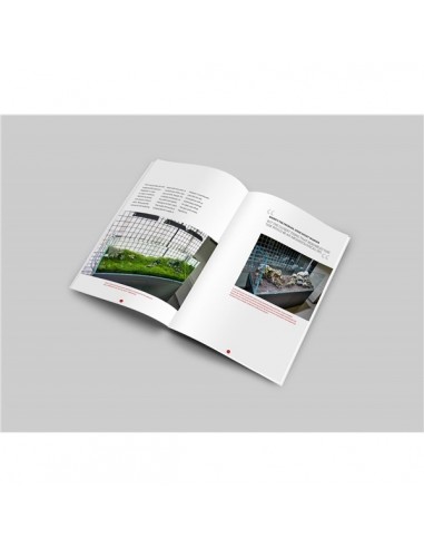 Livro Oliver Knott - "Training Day in Japan - My Journey" - 2103397