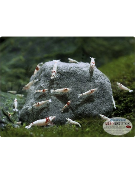 Pulver, 150 g Glasflasche - 2103839