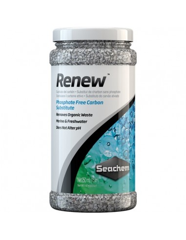 Renew 250 ml - 250ml - 2104148