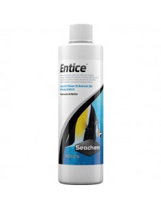 Entice 250 ml - 2104172