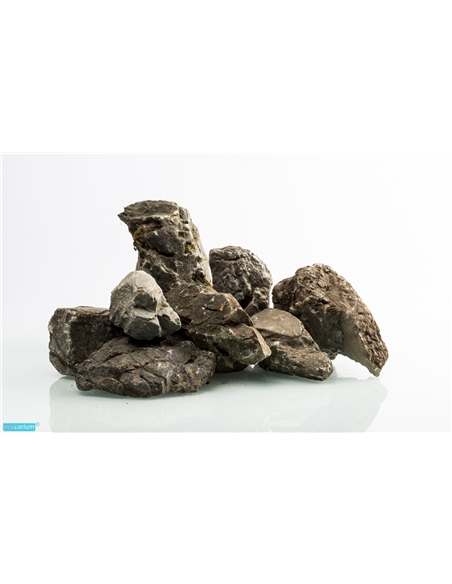 Frodo Stone - 2102520