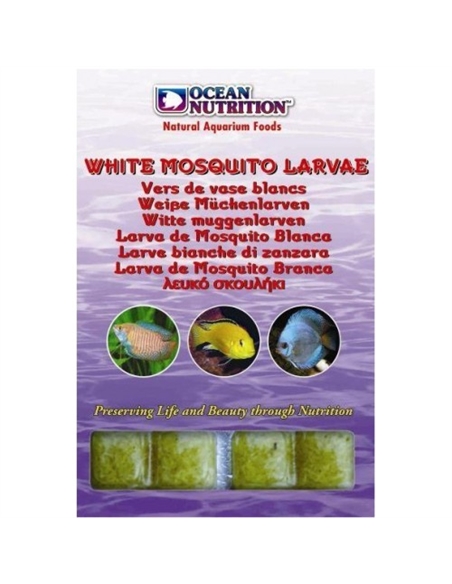 Discus Balance em Blister 100Gr - 2104045