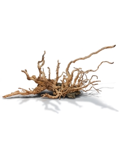 Tronco Red Moor Wood Kg