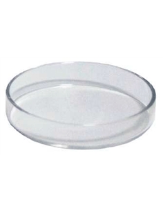 Prato de Alimentação de Camarões - 2104815