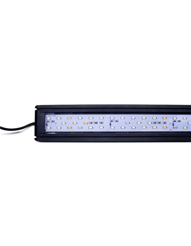 Iluminação Led PP 3050 - 2104833