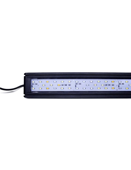 Iluminação Led PP 3070 - 2104834
