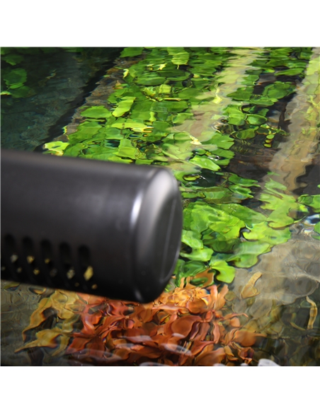 JBL PROTEMP Cooler x300 - 2105186