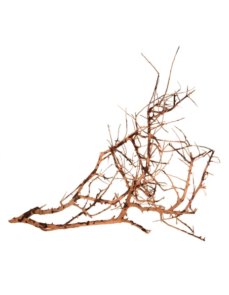 Scaping Twigs Kg - 2105195