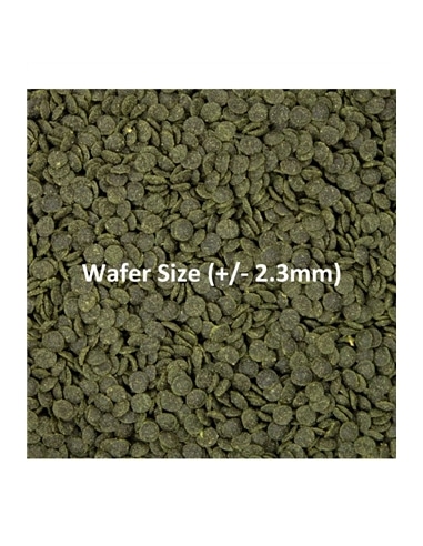 Shrimp Wafers #3 - 2105294