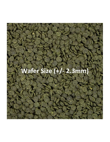 Shrimp Wafers #3 - 2105294