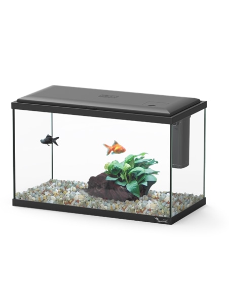 Kit Aquario Explorer Lisboa 40 Eqp - 2105492