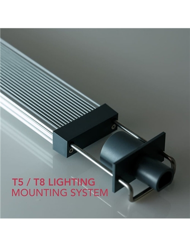 Twinstar Light 100G #2 - 2105683