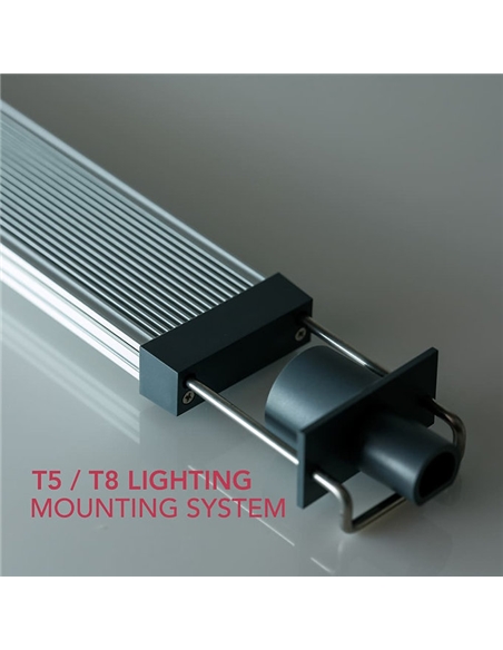 Twinstar Light 100G #2 - 2105683