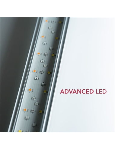 Twinstar Light 120G #1 - 2105684