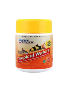 Tropical Wafers - 2102864