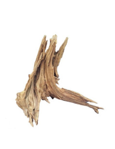 Tronco Ent Wood - 2103879