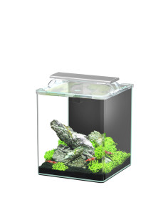 Aquario Kubus Curve 20L Essential