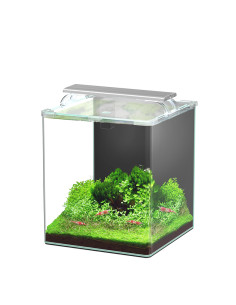 Aquario Kubus Curve 30L Essential