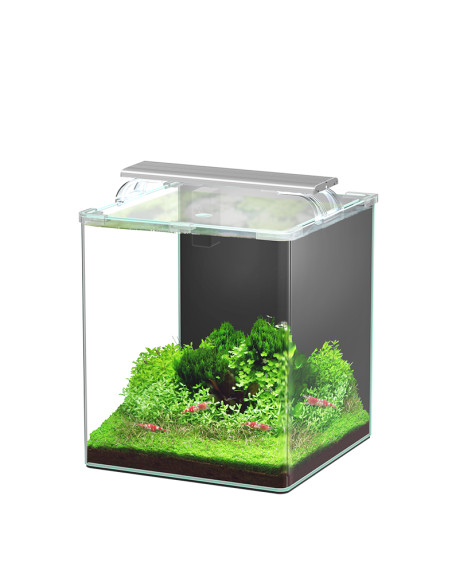 Aquario Kubus Curve 30L Essential