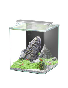 Aquario Kubus Curve 44L Essential