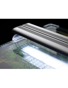 Aquario Kubus Curve 44L Essential 2