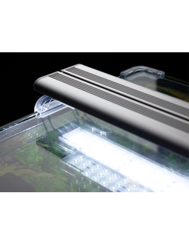 Aquario Kubus Curve 44L Essential