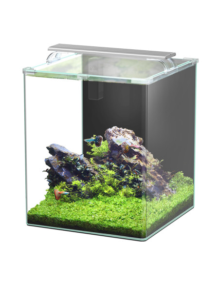 Aquario Kubus Curve 65L Essential