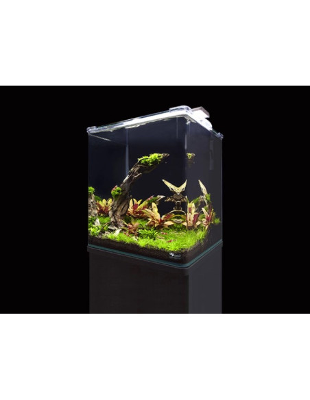 Aquario Kubus Curve 65L Essential