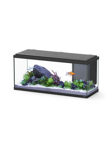 Aquário Explorer Amsterdam 80 LED Preto