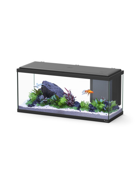 Aquário Explorer Amsterdam 80 LED Preto