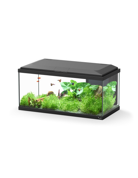 Aquário Explorer Brussels 80 LED Preto