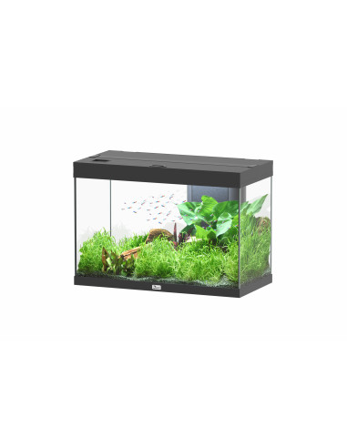 Aquário Splendid Ultra 80x40x56 Bio Preto