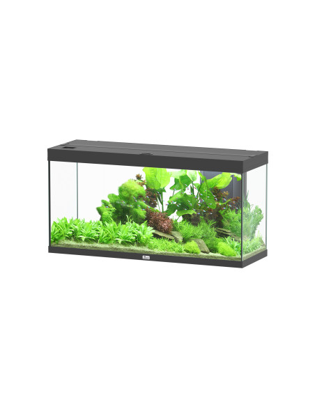 Aquário Splendid Ultra 120x40x61 Preto