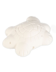 Cálcio P/ tartarugas