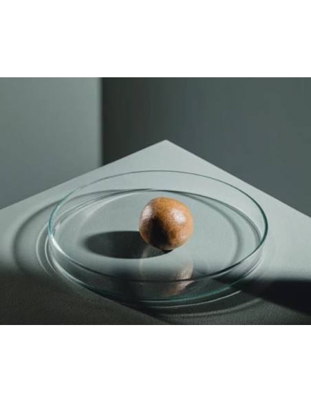 StreamBiz Artemia Paste 70 g - 1