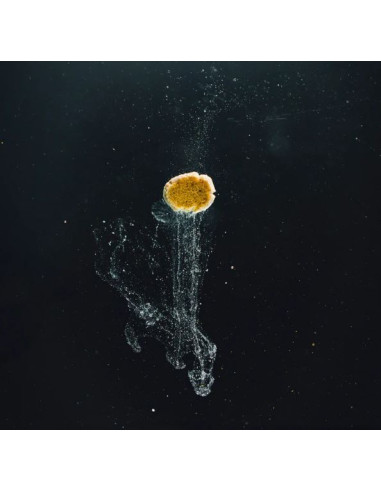 StreamBiz Artemia Paste 70 g - 3