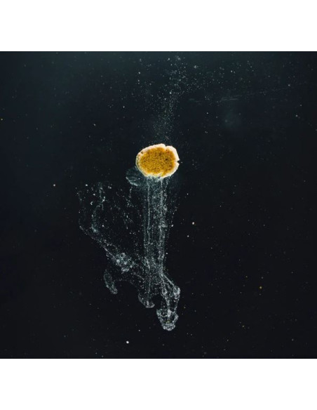 StreamBiz Artemia Paste 70 g - 3