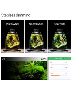 Wabi Kusa WEEK AQUA Mini7Pro-O LED Microlandscape - 4