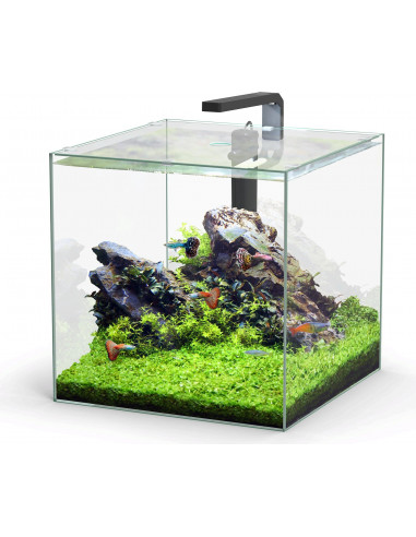 Aquario Kubus 54L - 2