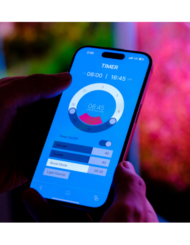 Twinstar Light V 200S - 3