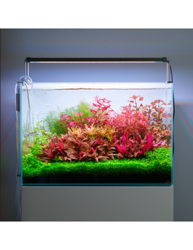 Twinstar Light V 200S - 5