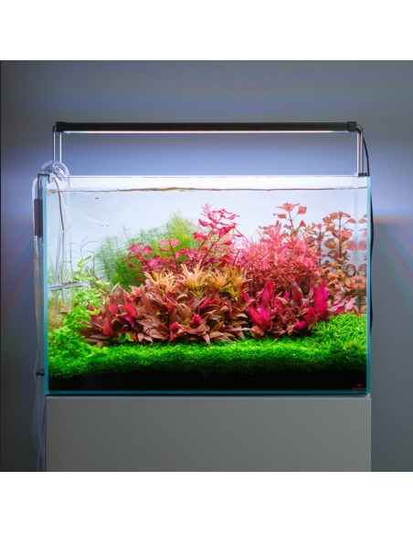 Twinstar Light V 900S - 5