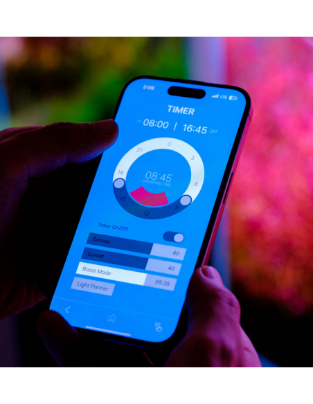 Twinstar Light V 1200S - 5