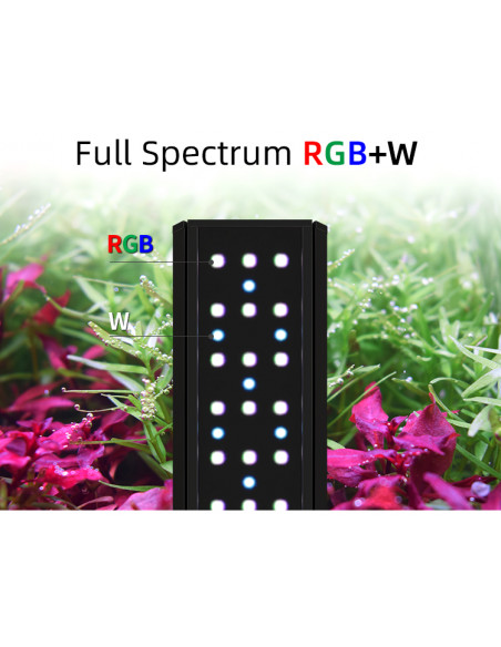 Weekaqua V 400 SE WRGB - 6