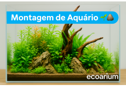 Montagem de Aquário Splendid Ultra com hardscape natural 🌱🪨